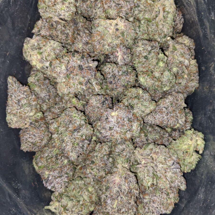 El Chapo AAAA - Image 6