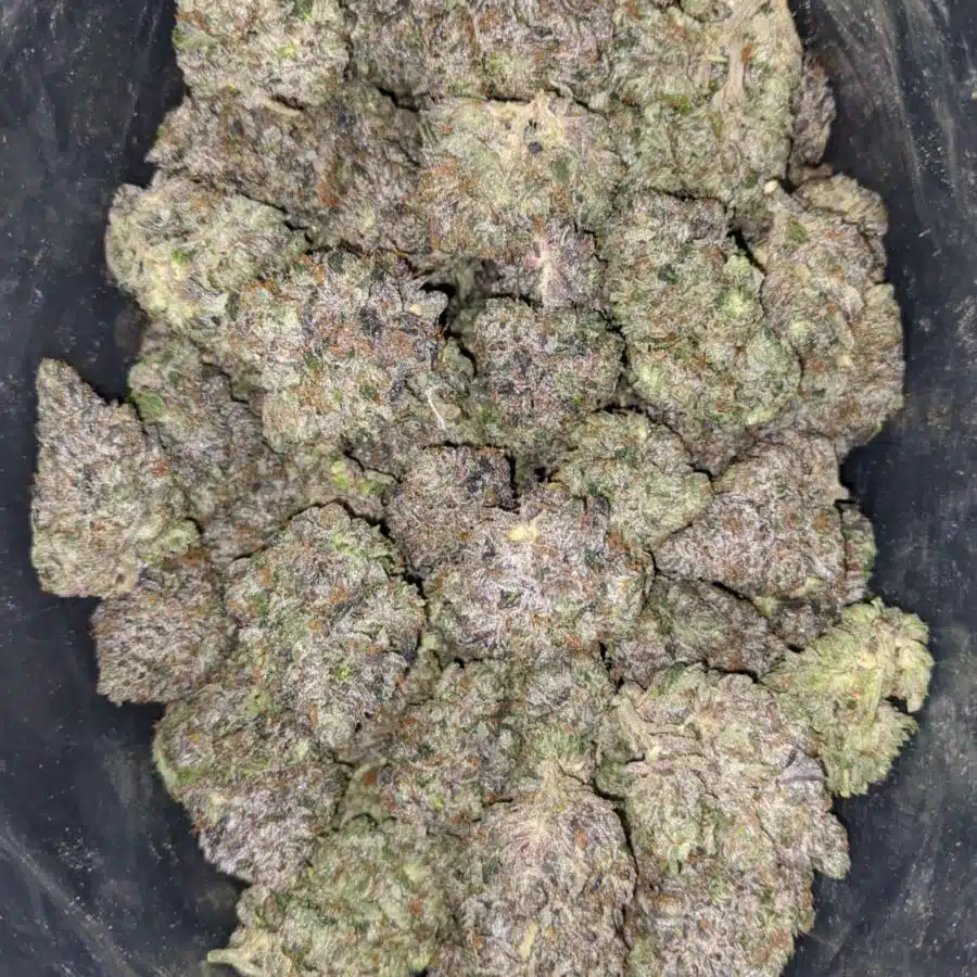 el chapo aaaa 2 I El Chapo AAAA
