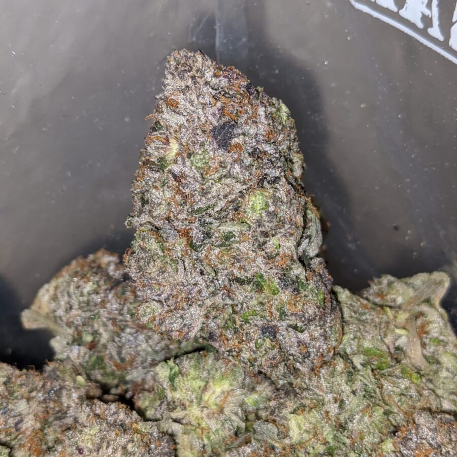 El Chapo AAAA - Image 7