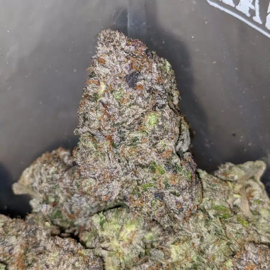 el chapo aaaa 4 I El Chapo AAAA