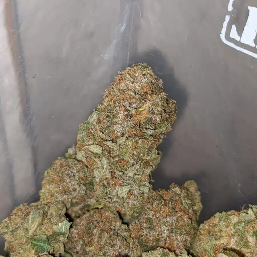 gorilla glue 4 1 I $ 72 Oz - Predator Pink