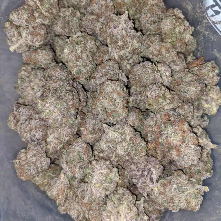 grape stomper deal of the day 2 I Grape Stomper - *Deal Of The Day*