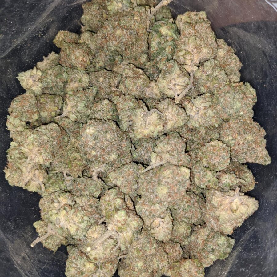Green Haze - Image 5