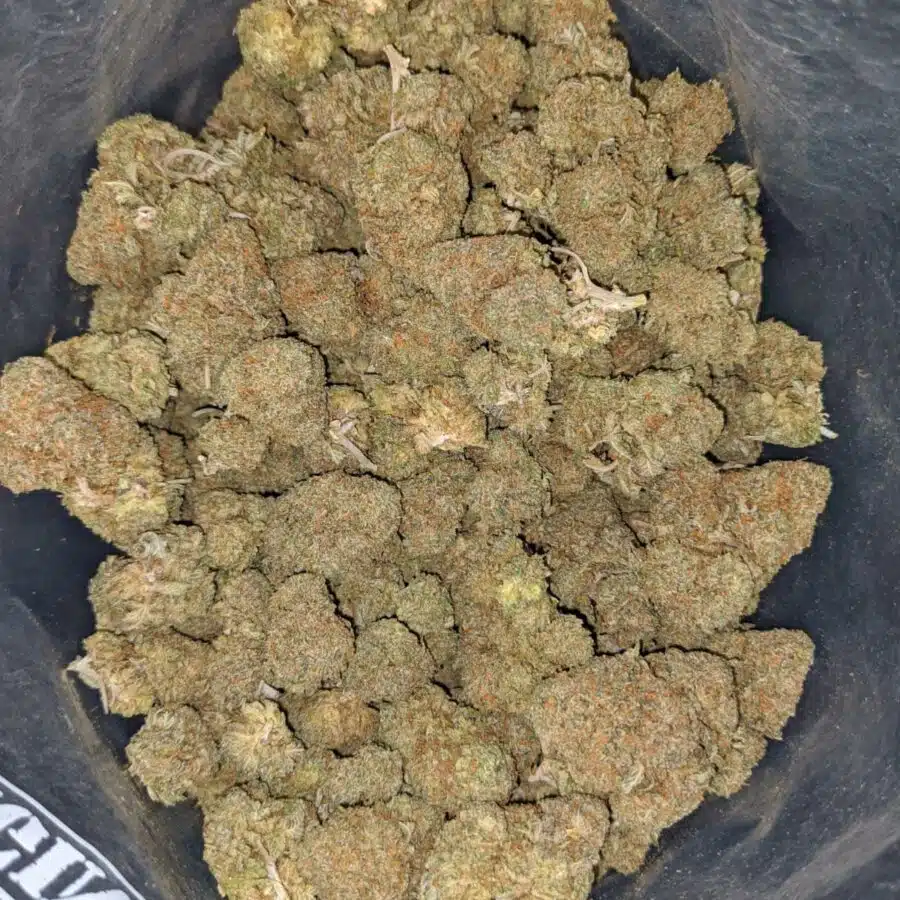 gruntz og 1 I $ 69 Oz - Gruntz