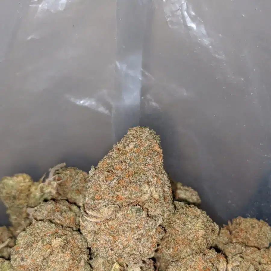 gruntz og 3 I $ 69 Oz - Gruntz