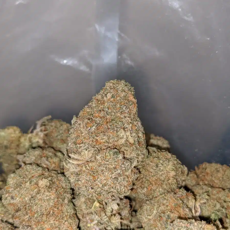 gruntz og 4 I $ 69 Oz - Gruntz