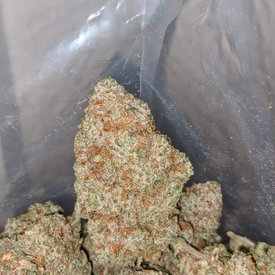hawaiian haze 4 I Hawaiian Haze