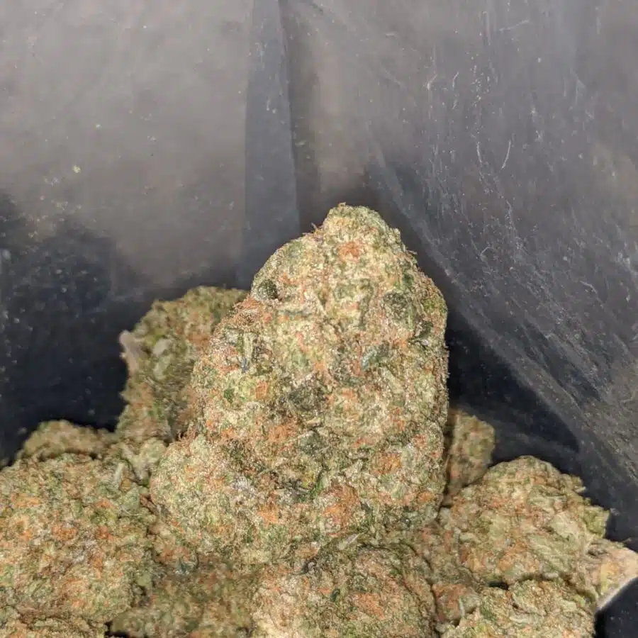 kush mints 3 I $80 Oz - Kush Mints