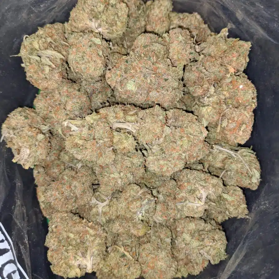 l.a cake breath 1 I LA Cake Breath