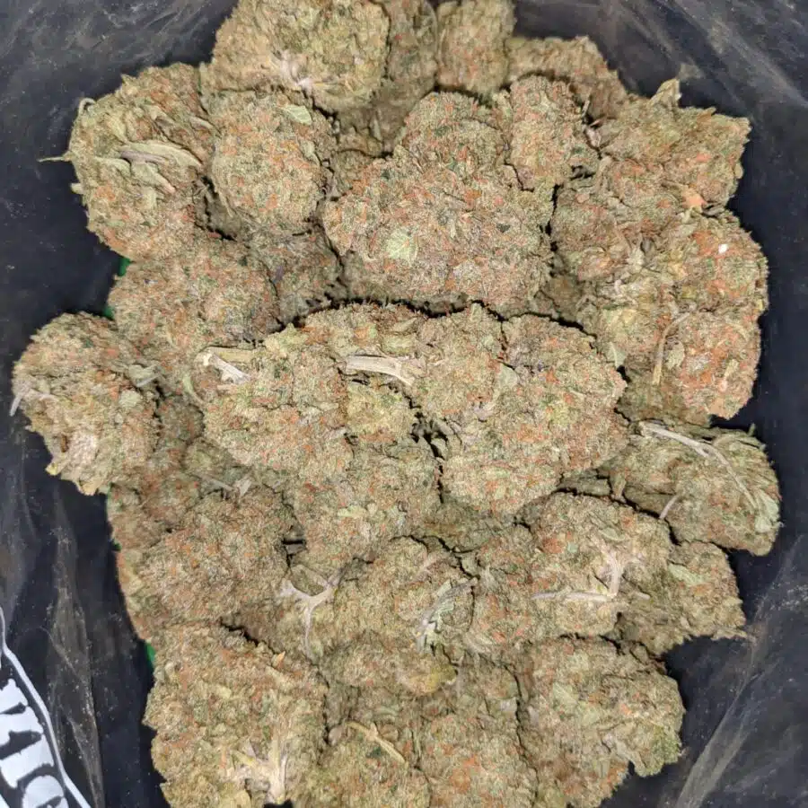 l.a cake breath 2 I LA Cake Breath