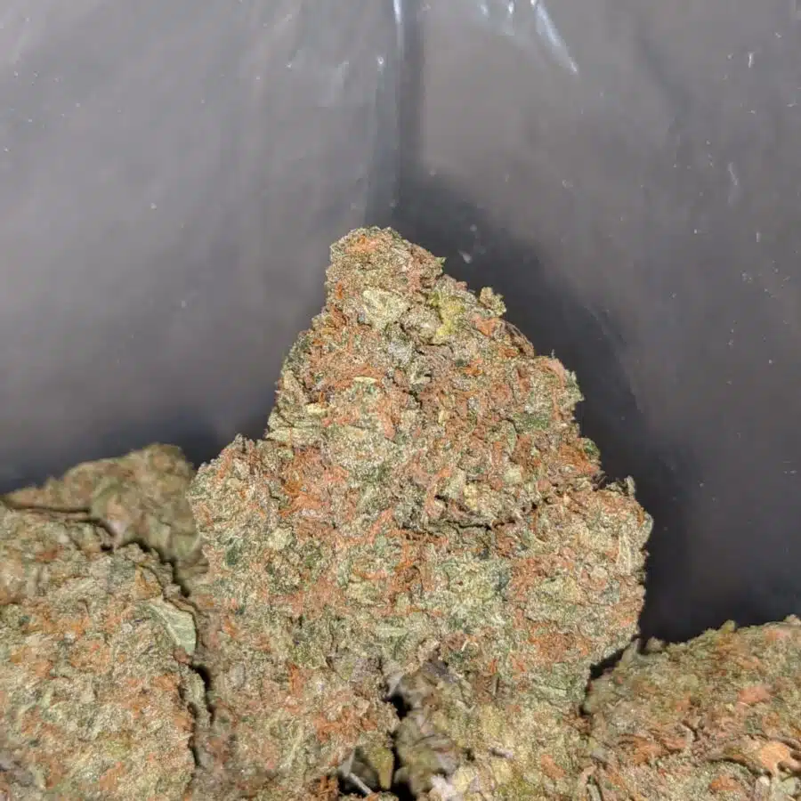 l.a cake breath 3 I LA Cake Breath
