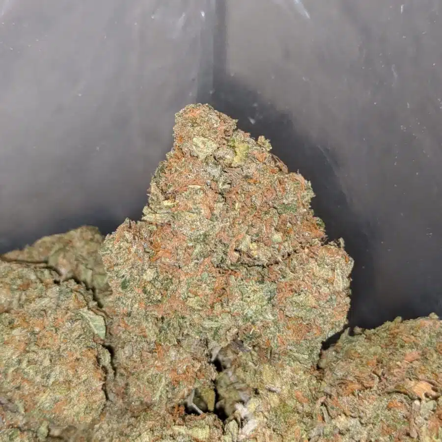 l.a cake breath 4 I LA Cake Breath