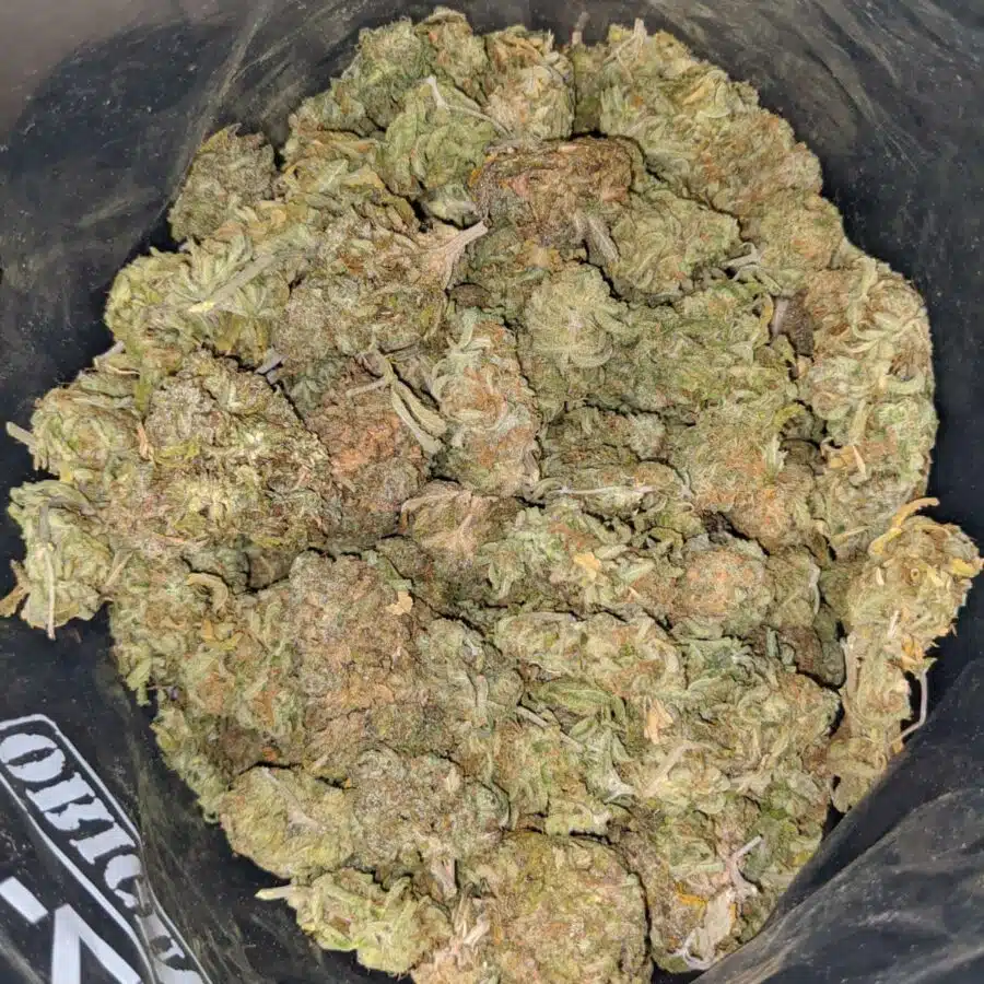 nuken bulk special 2 I Nuken Bulk Special