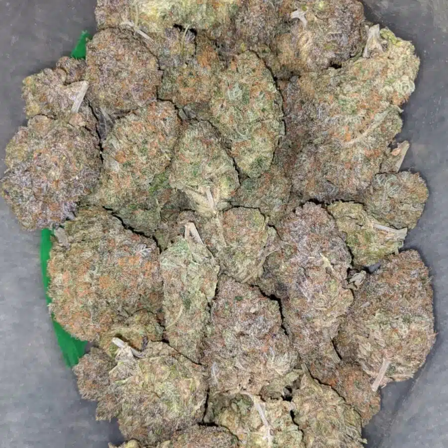 purple gelato 1 I $75 Oz - Purple Gelato