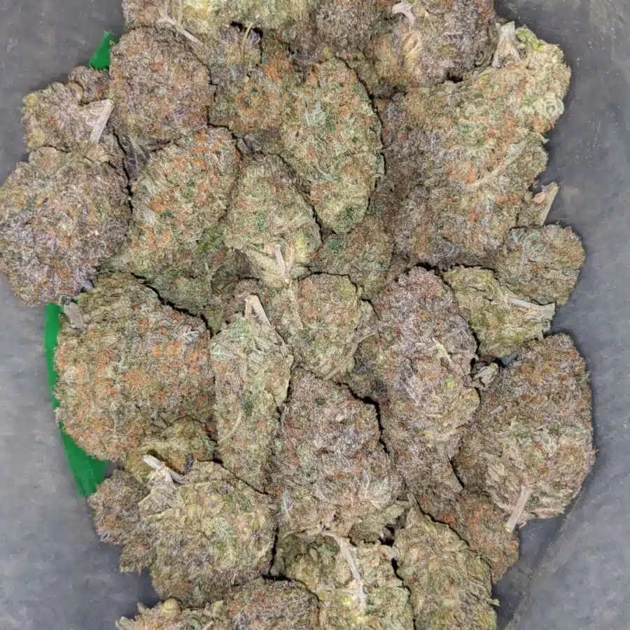 purple gelato 2 I $75 Oz - Purple Gelato