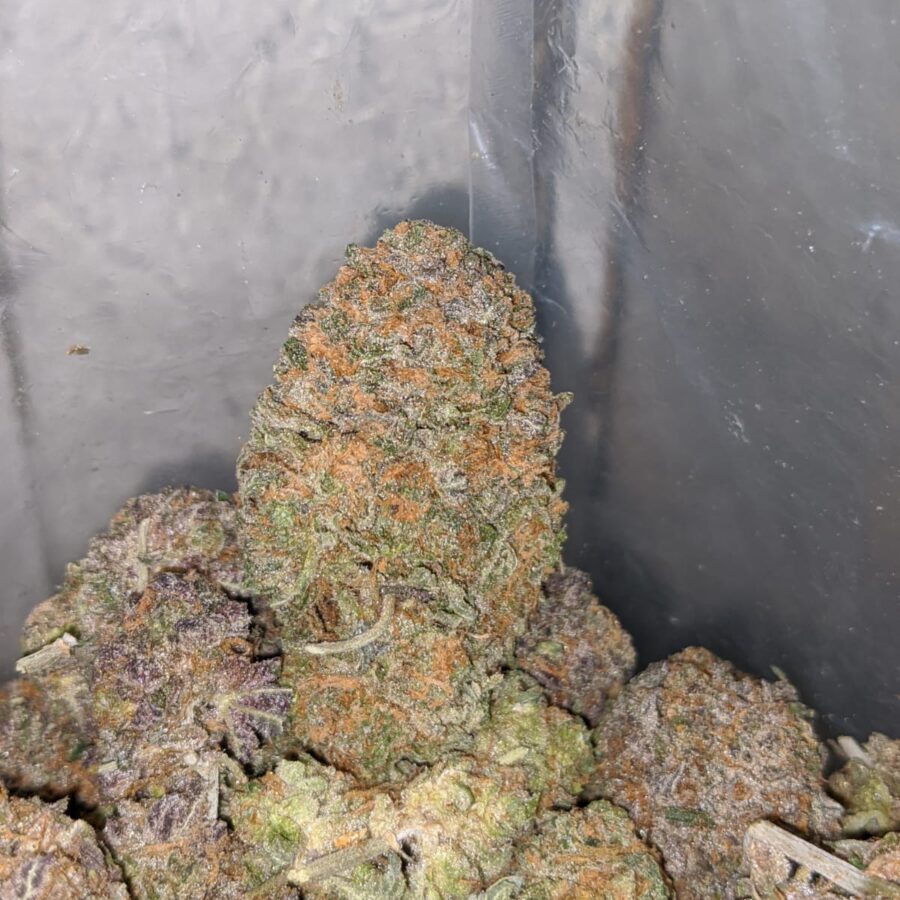 purple gelato 3 I Purple Gelato