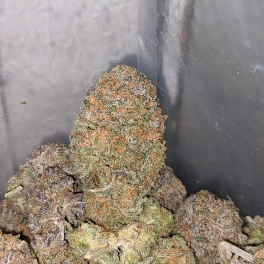 purple gelato 3 I $75 Oz - Purple Gelato