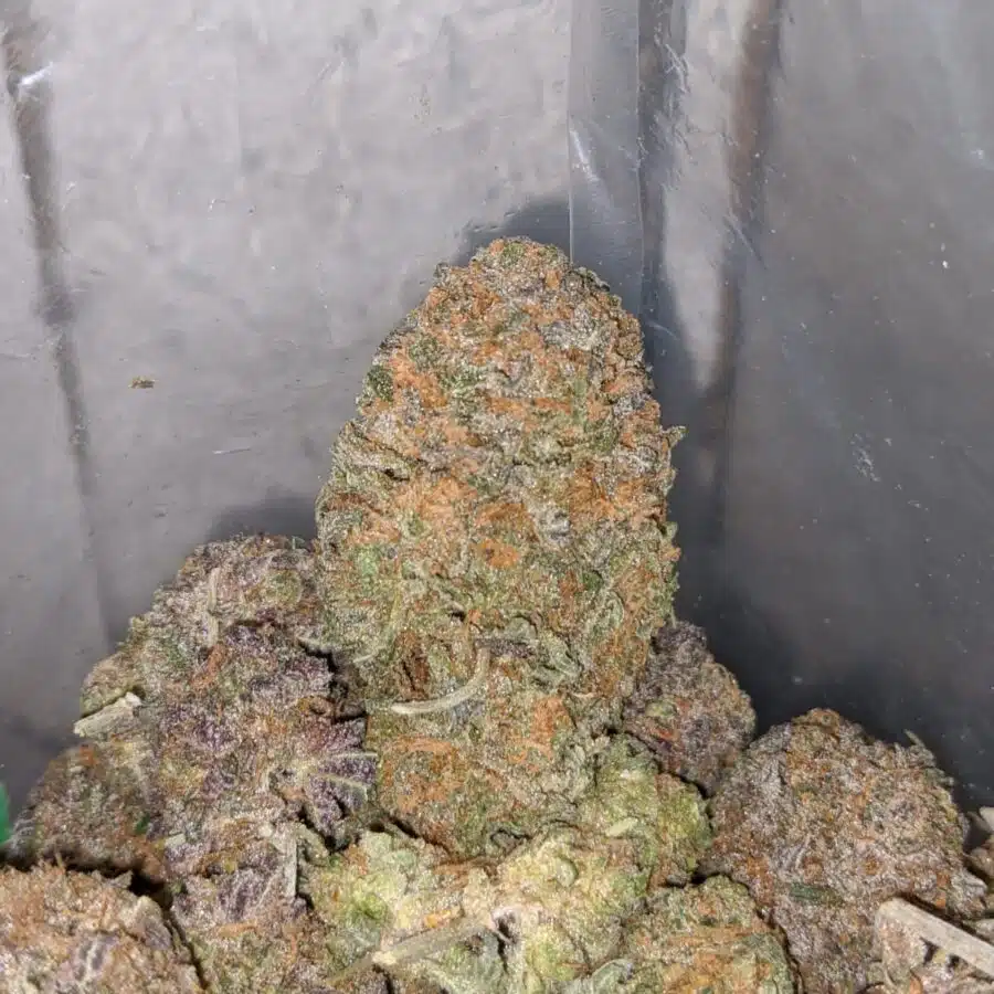 purple gelato 4 I $75 Oz - Purple Gelato