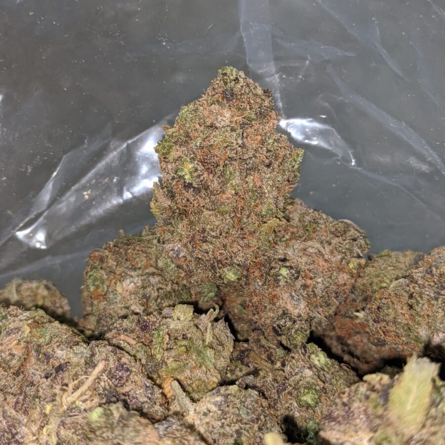 purple urkle 1 I Purple Urkle
