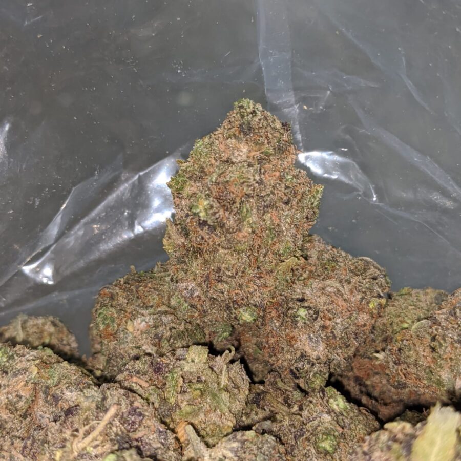 purple urkle 2 I Purple Urkle