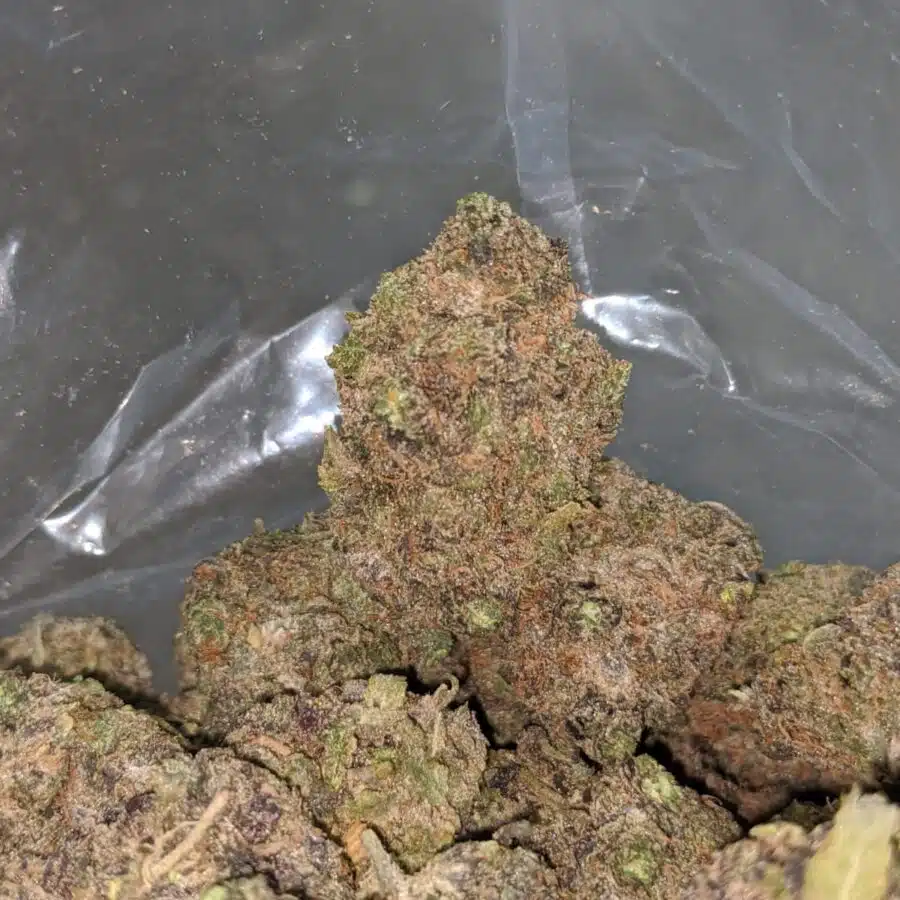 purple urkle 2 I Purple Urkle