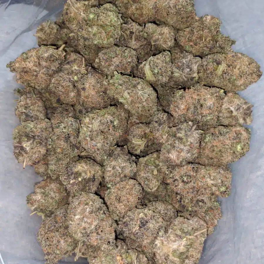 purple urkle 3 I Purple Urkle