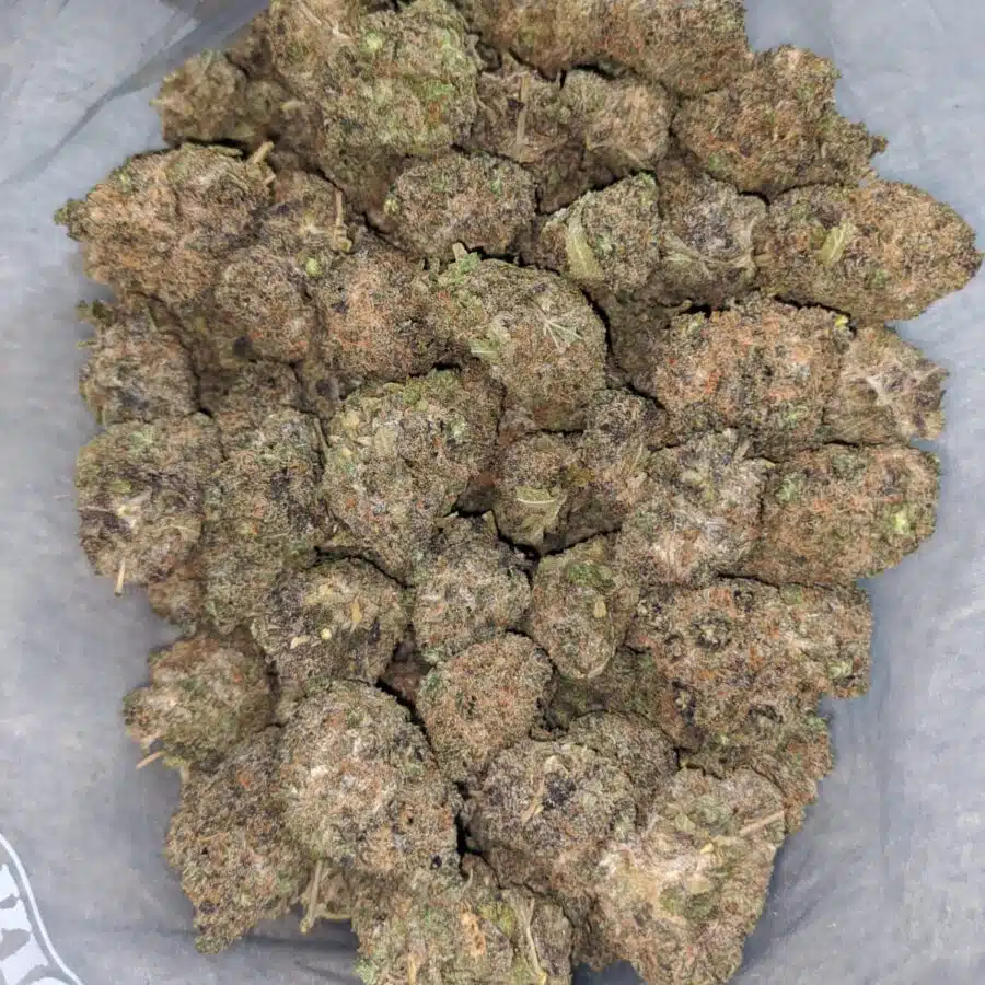 purple urkle 4 I Purple Urkle