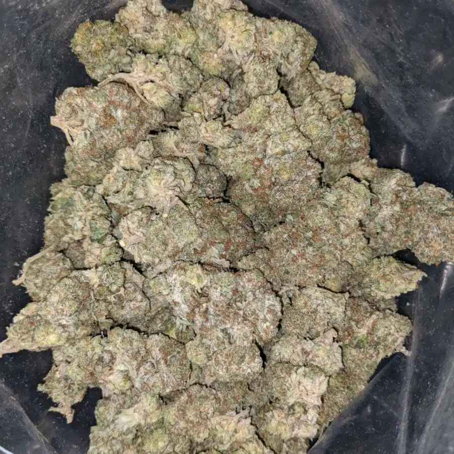 tonys white kush deal of the day 1 I Tony's White Kush