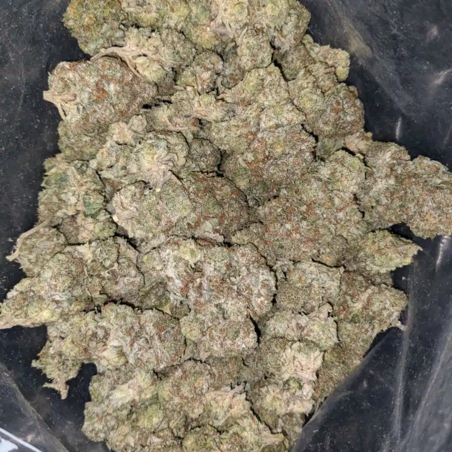 tonys white kush deal of the day 2 I Tony's White Kush