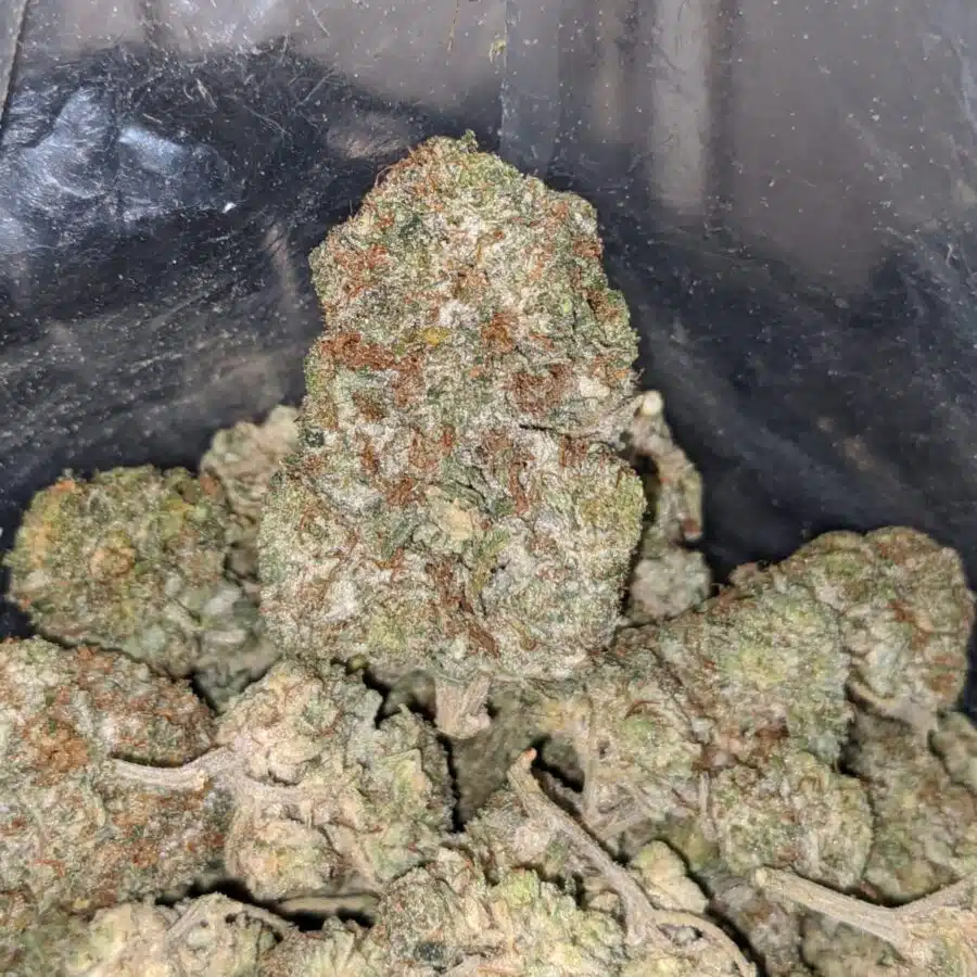 tonys white kush deal of the day 3 I Tony's White Kush