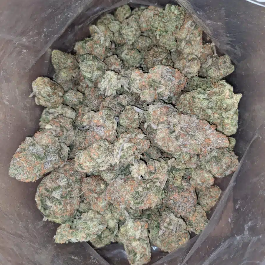 tropical punch 1 I $ 59 Oz - Tropical Punch