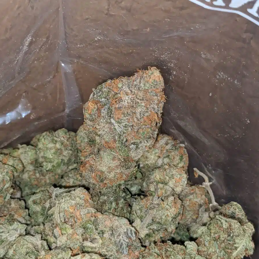 tropical punch 2 I $ 59 Oz - Tropical Punch