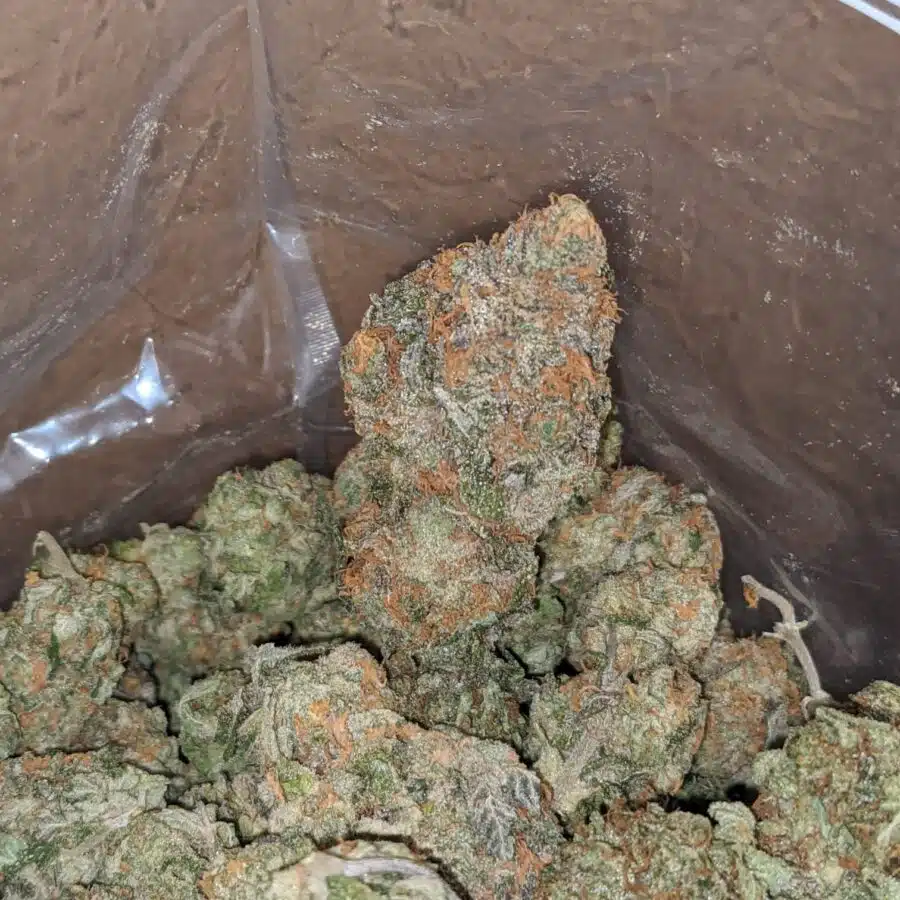 tropical punch 3 I $ 59 Oz - Tropical Punch