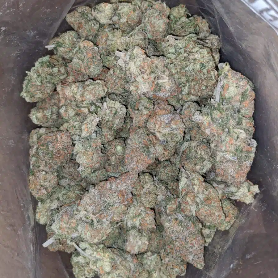 tropical punch 4 I $ 59 Oz - Tropical Punch
