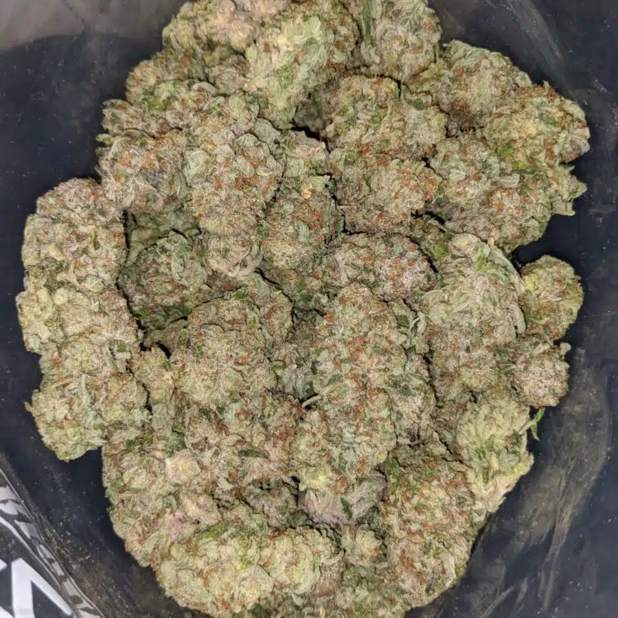 tuna kush 2 1 I Tuna Kush #2