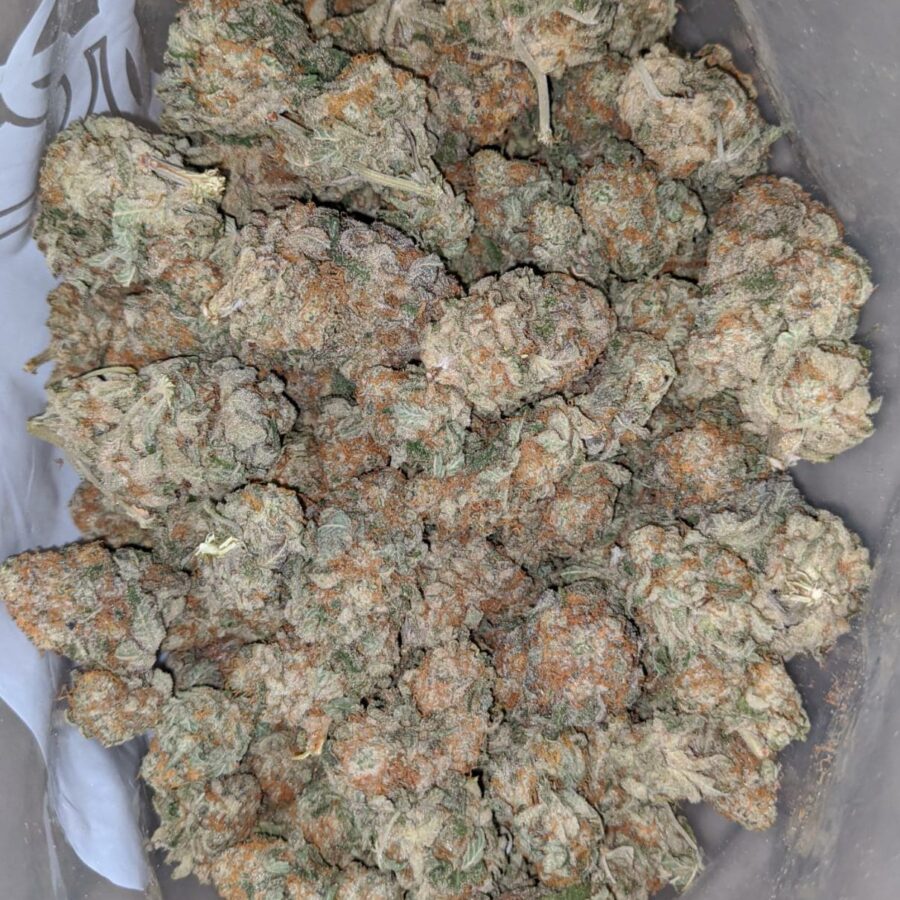 tutti fruity 1 1 I Tutti Fruitti