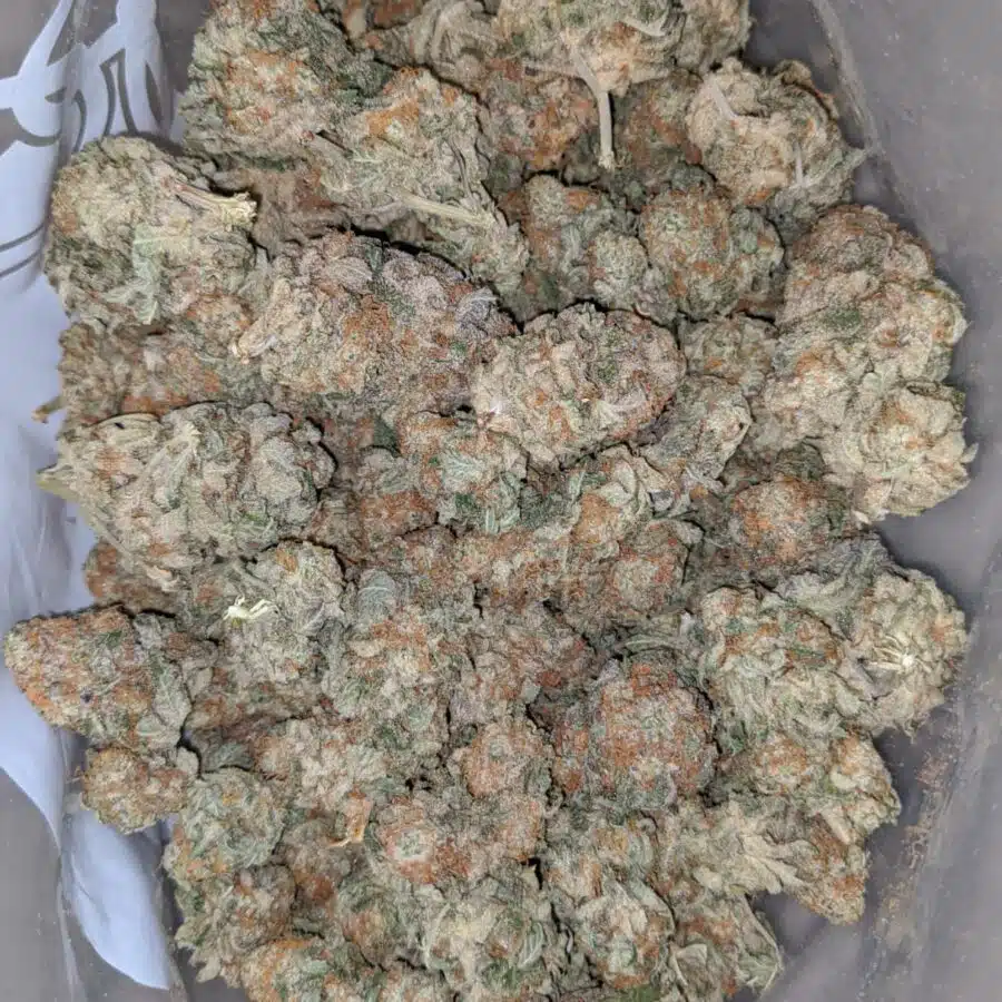 tutti fruity 2 1 I Tutti Fruitti