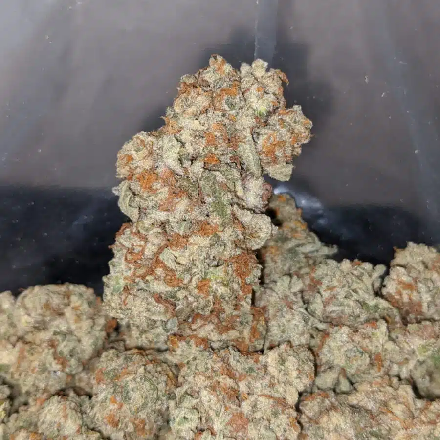 tutti fruity 3 I $69 Oz - Tutti Frutti