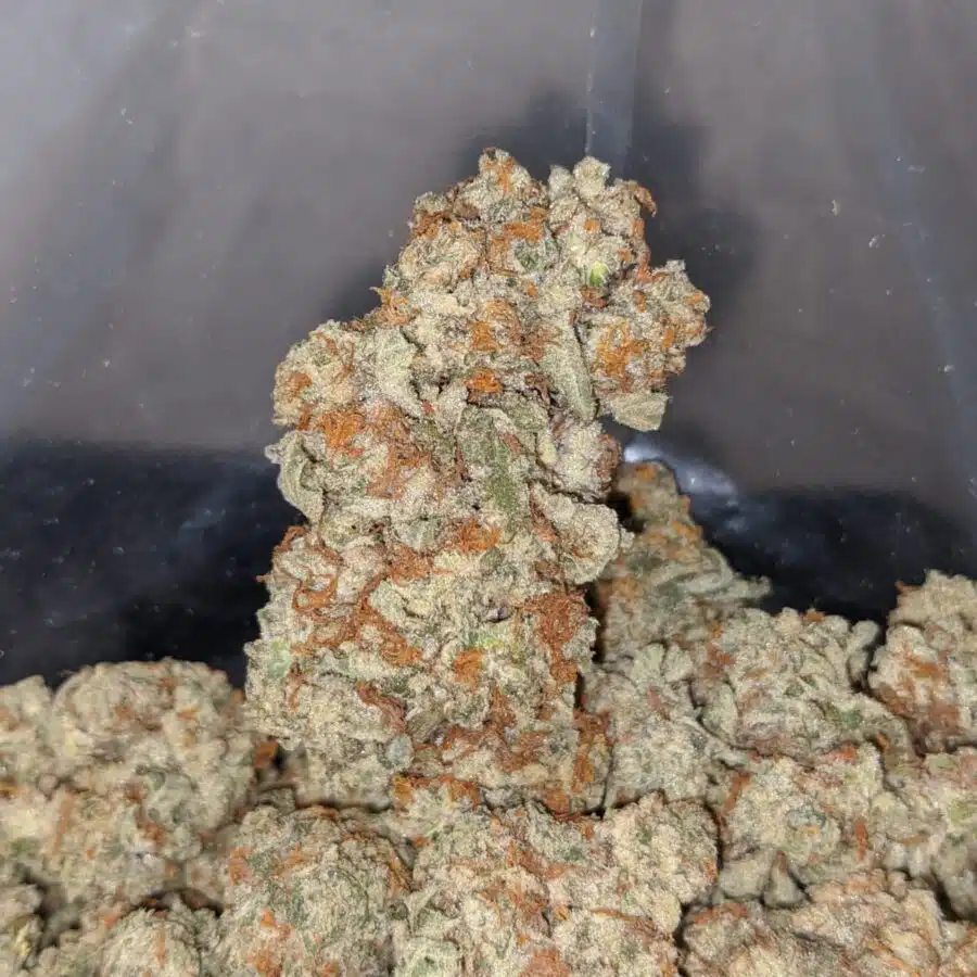 tutti fruity 4 I $69 Oz - Tutti Frutti