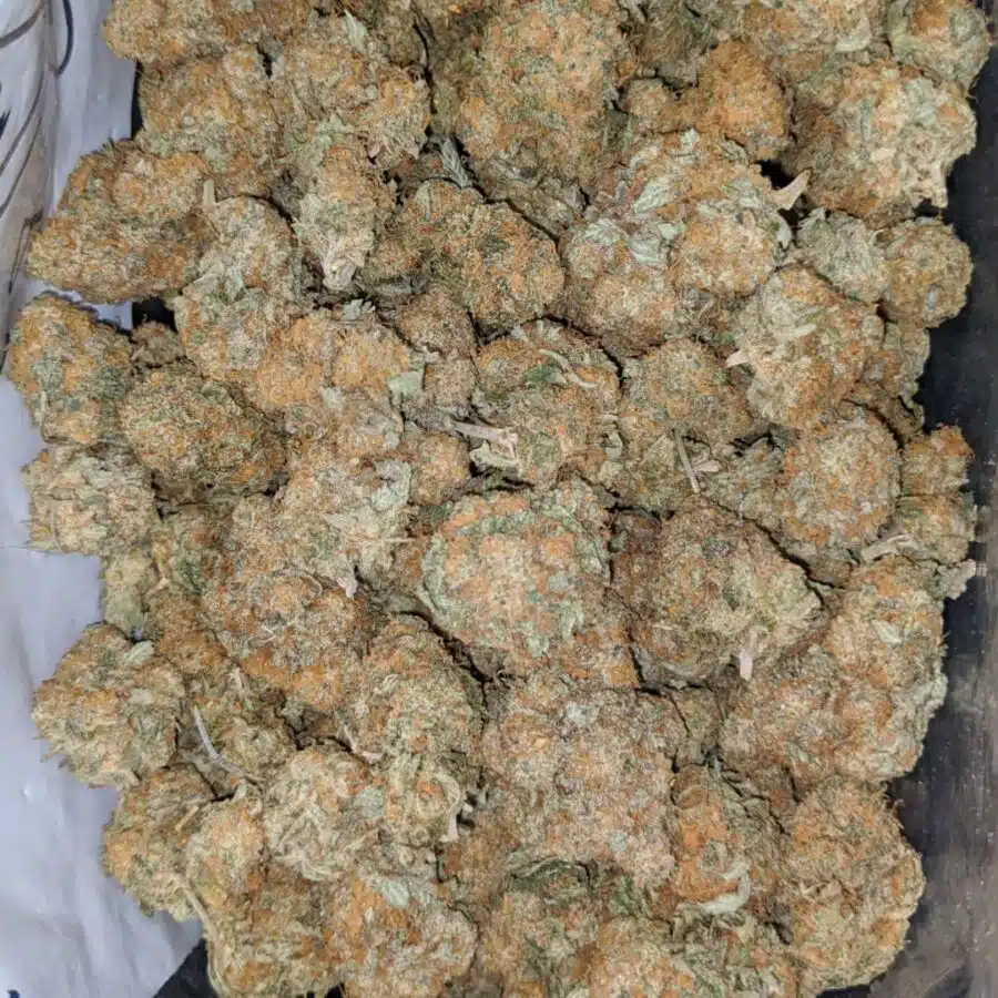 wedding crashers 1 I $ 64 Oz - Wedding Crashers