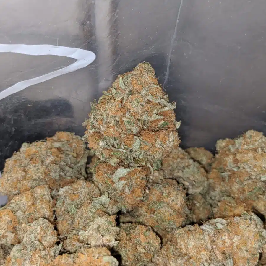 wedding crashers 3 I $ 64 Oz - Wedding Crashers