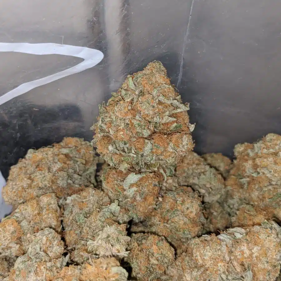 wedding crashers 4 I $ 64 Oz - Wedding Crashers