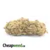 AA Sour Bubba