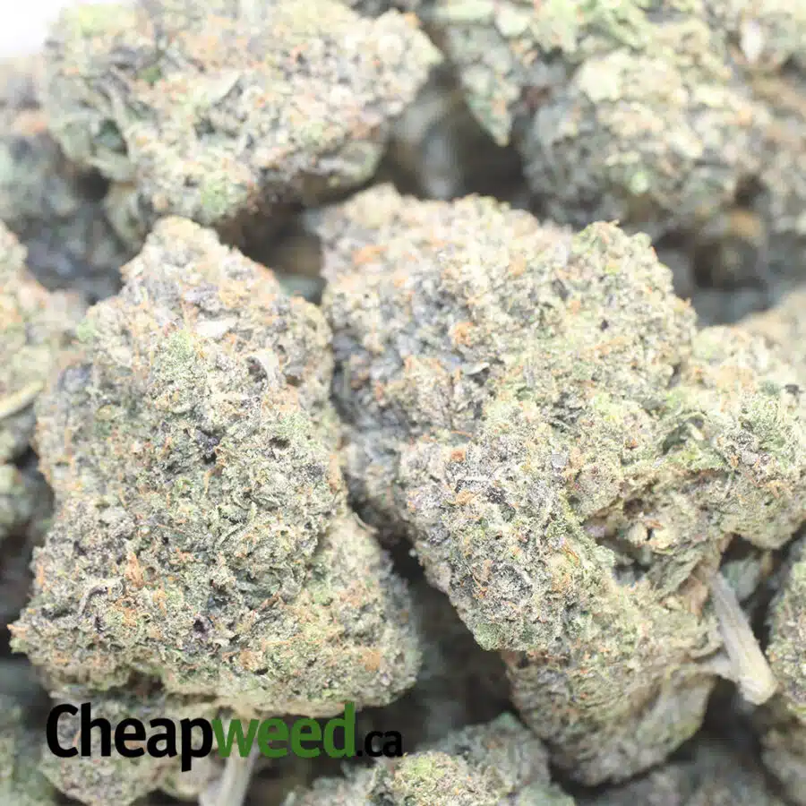 AK47 1 I AK-47
