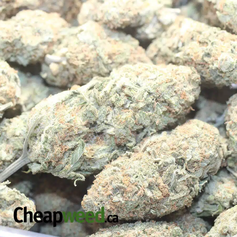 B HAWAIIAN 1 I $ 66 Oz - Blue Hawaiian