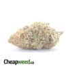 $ 66 Oz - Blue Hawaiian