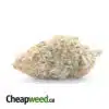 $ 66 Oz - Blue Hawaiian