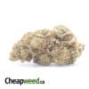 Bubba Kush - *Deal Of The Day*