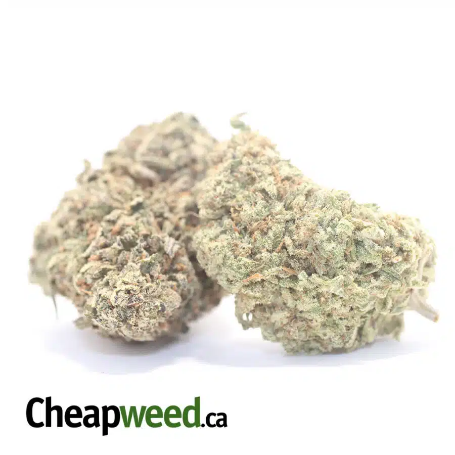 Alternative view of Columbian Gold - *Deal of the Day*