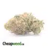 $ 69 Oz - Chocolope